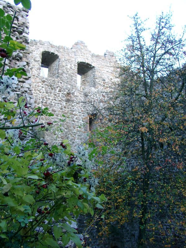 Burg Baden
