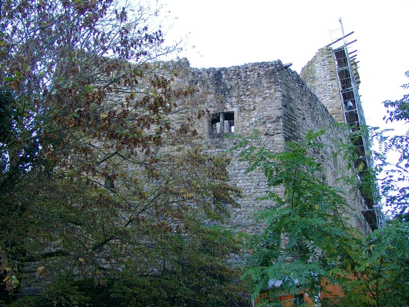 Burg Baden