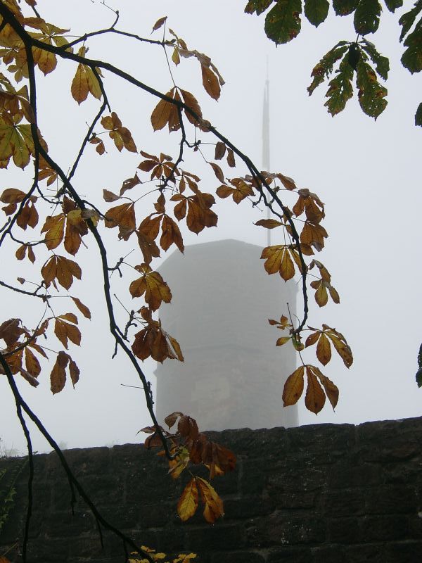 Burg Dilsberg