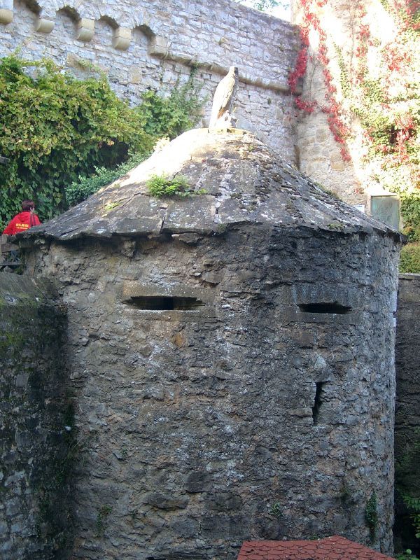 Burg Guttenberg