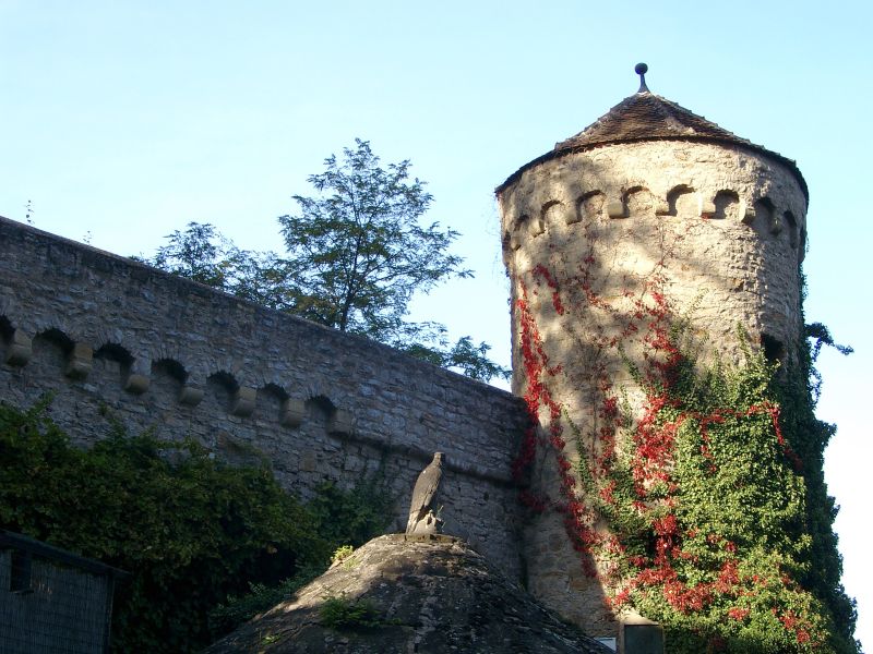 Burg Guttenberg
