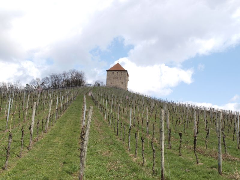 Burg Wildeck