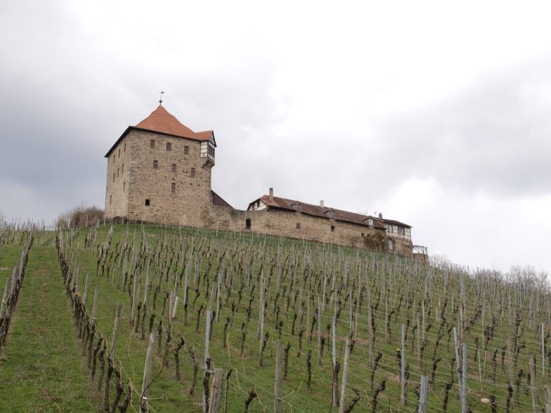 Burg Wildeck