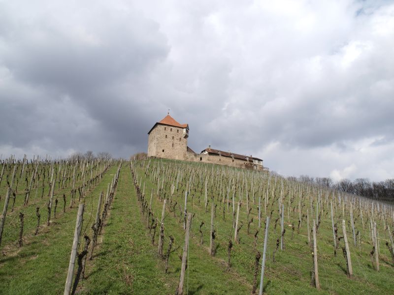 Burg Wildeck