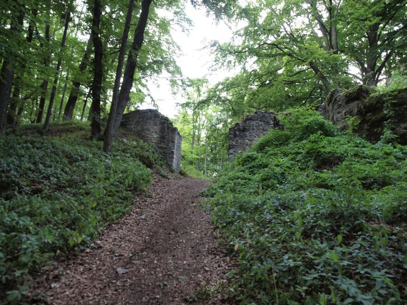 Vorschaubild Ansicht Burg Ehrenfels (Titelfoto)