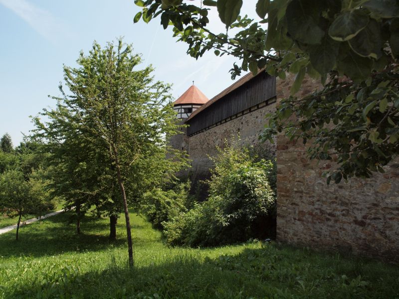 Burg Hohenberg