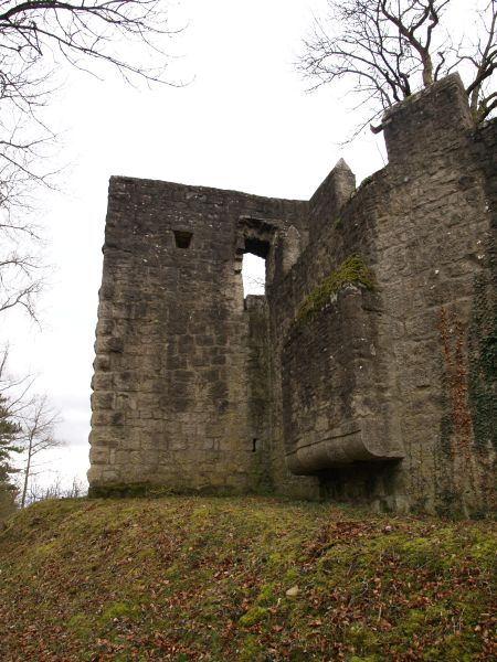 Burg Salzburg