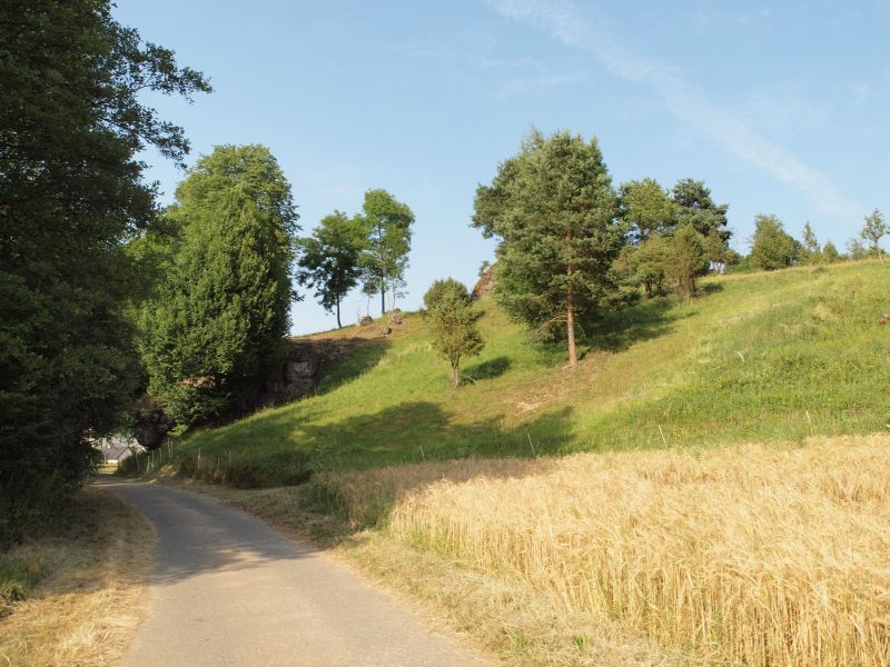 Burg Steinamwasser