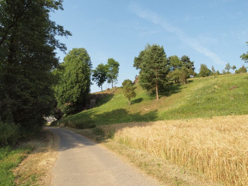 Burg Steinamwasser