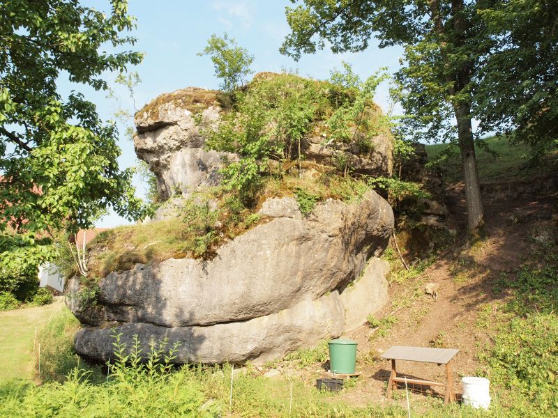 Burg Steinamwasser