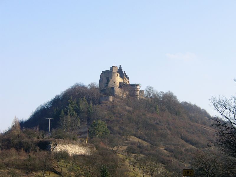 Burg Trimburg