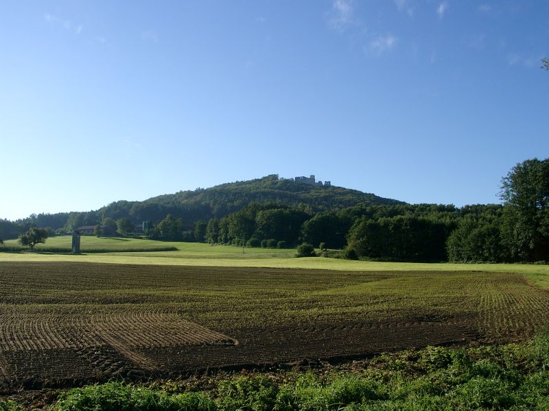 Burg Wolfstein