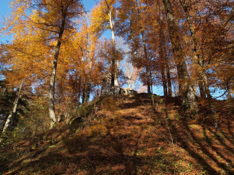 Burgruine Heilsberg