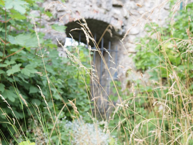 Burgruine Laaber