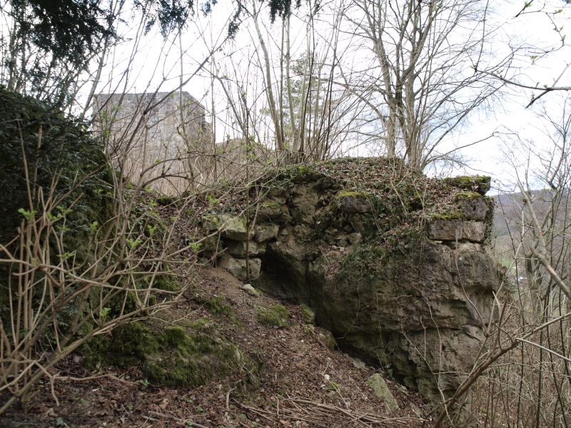 Burgruine Osternohe