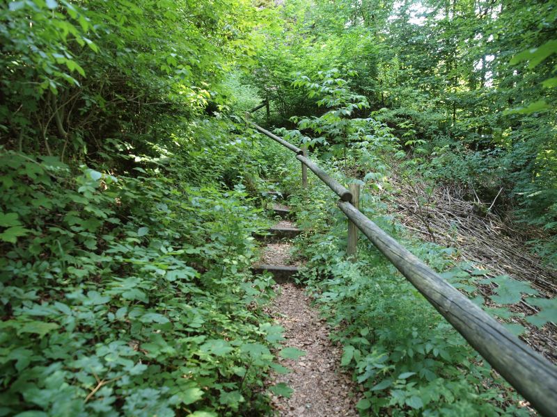 Burgruine Stierberg