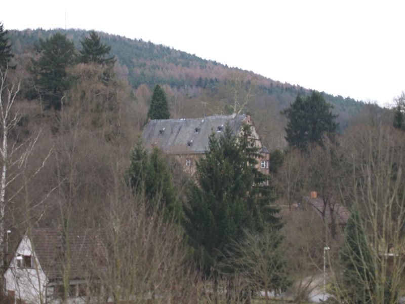 Neue Schloss