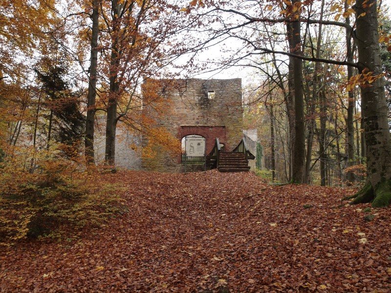 Ruine Kürnberg