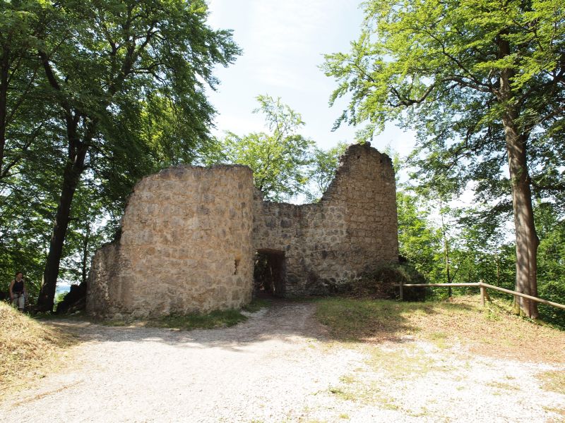 Vorschaubild Ansicht Ruine Leienfels (Titelfoto)