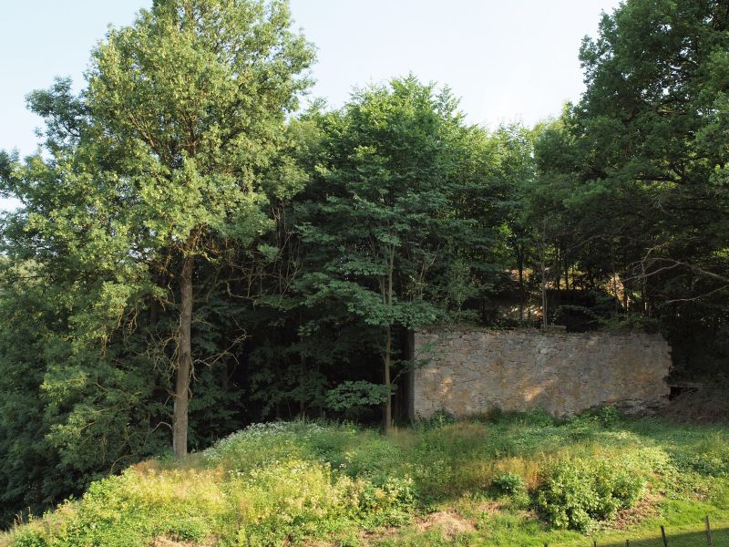 Ruine Roggenstein