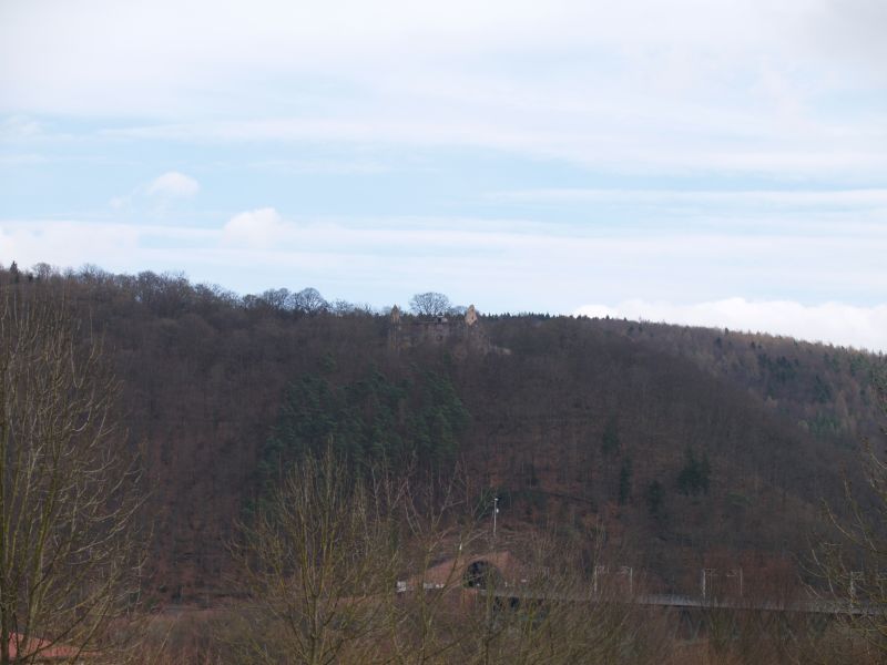 Ruine Schnrain