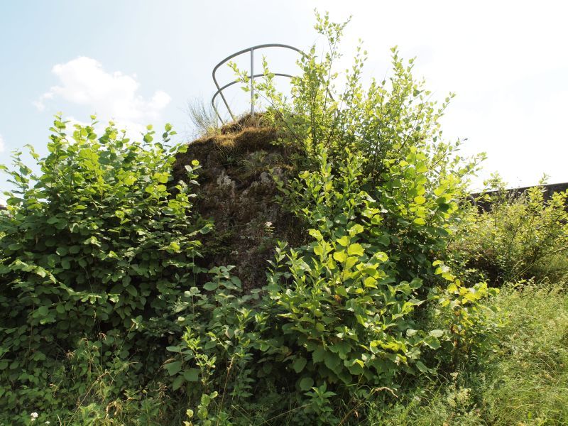 Ruine Wolfsberg