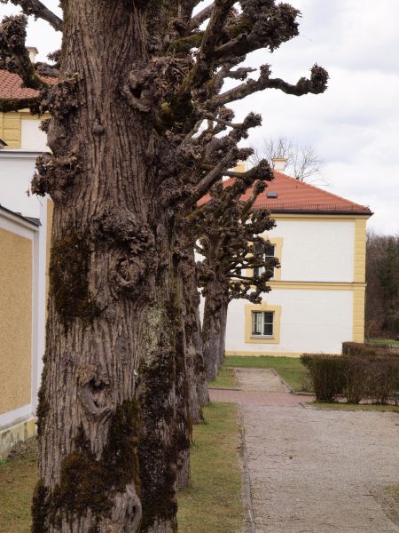 Schloss Frstenried