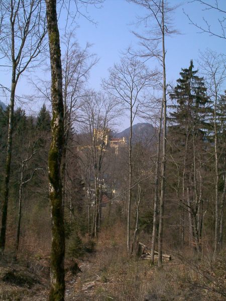 Schloss Hohenschwangau