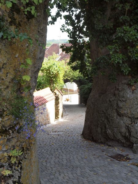 Schloss Knigstein
