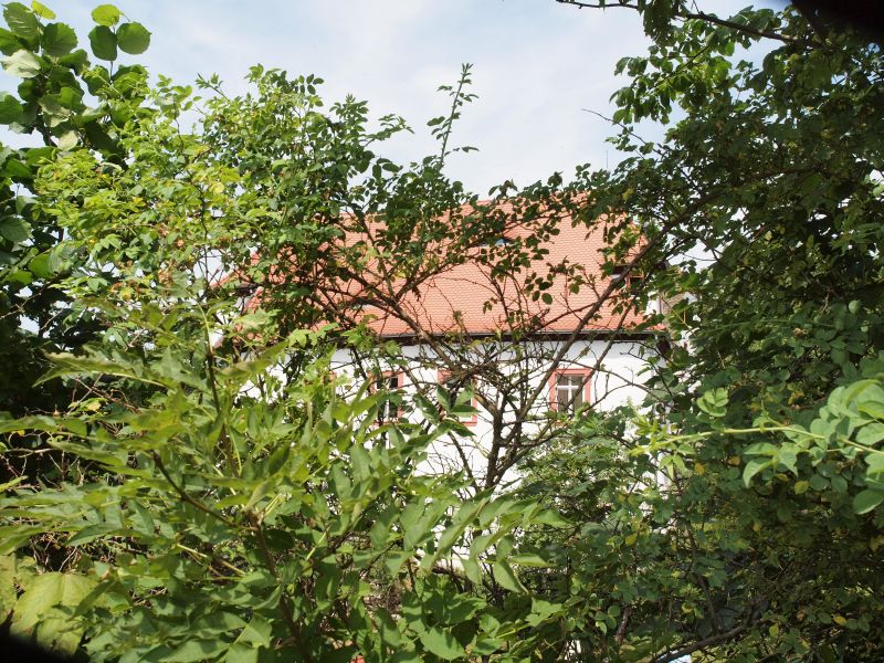 Schloss Plankenfels