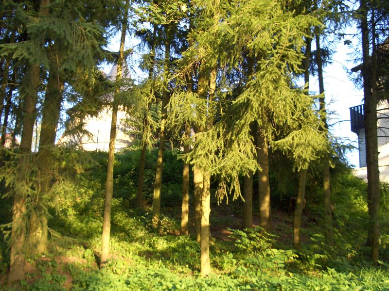 Schloss Schmlz