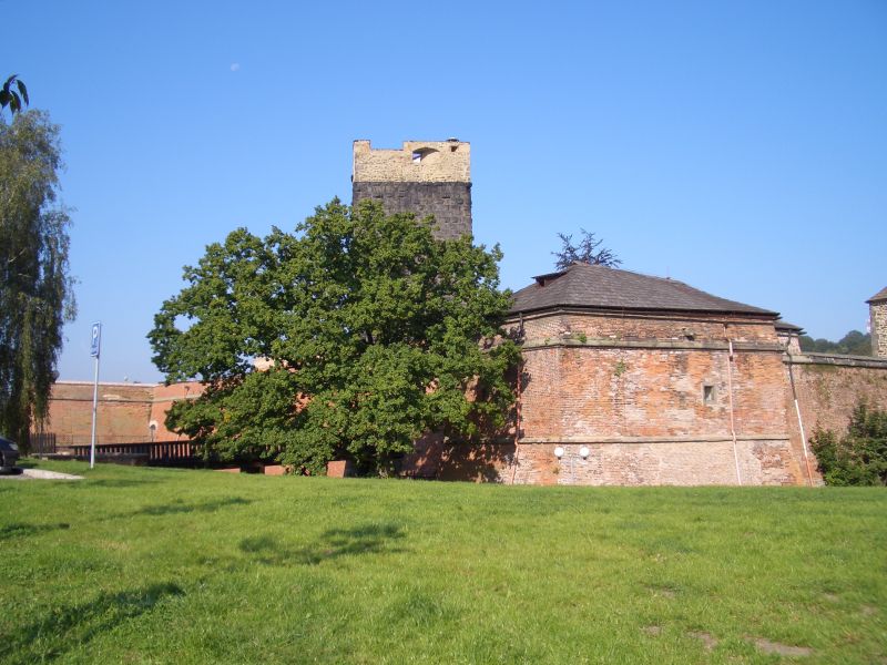 Burg Eger