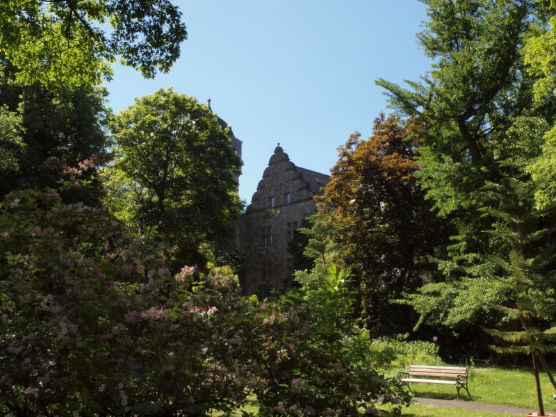 Altes Schloss Gieen