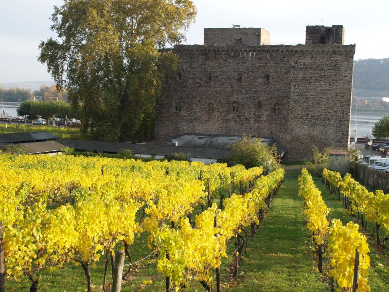 Brömserburg