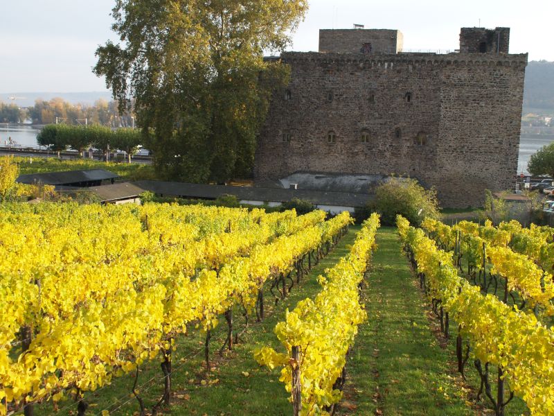 Brmserburg