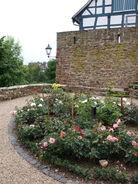 Burg Battenberg