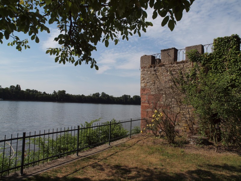 Burg Crass