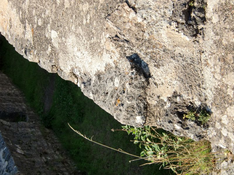 Burg Eisenberg