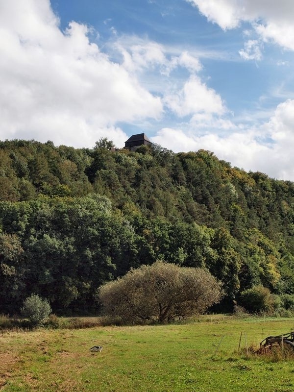 Burg Frstenstein