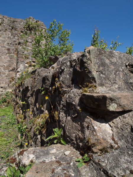 Burg Mellnau