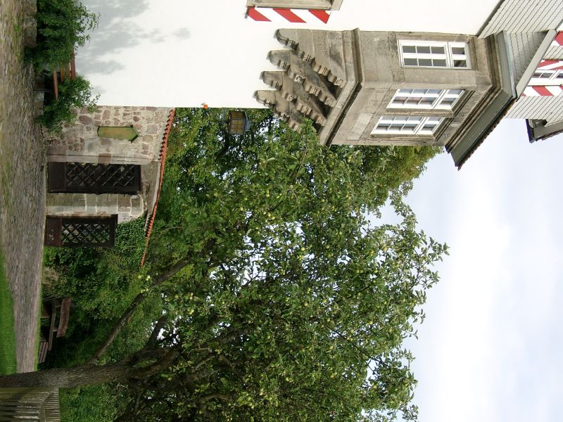 Burg Neuenstein