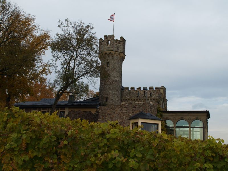 Burg Schwarzenstein