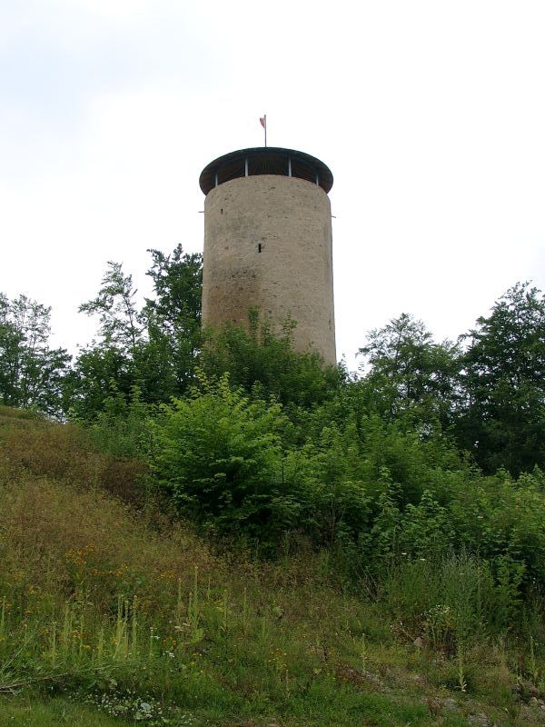 Ruine Lwenstein