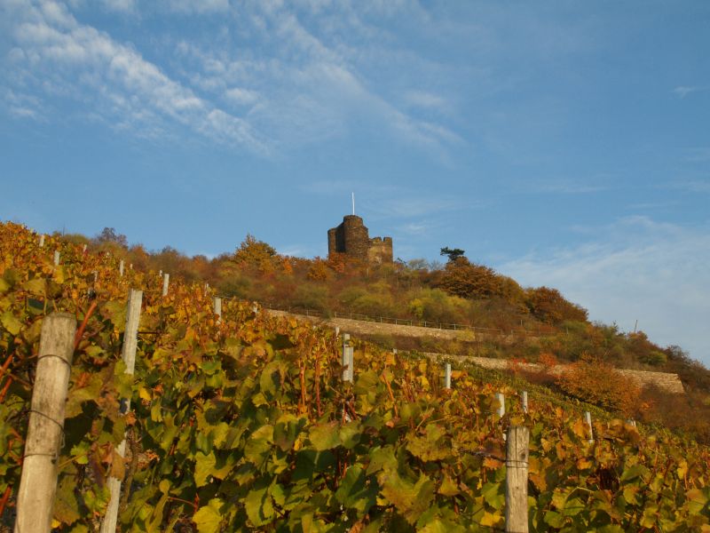 Ruine Nollig