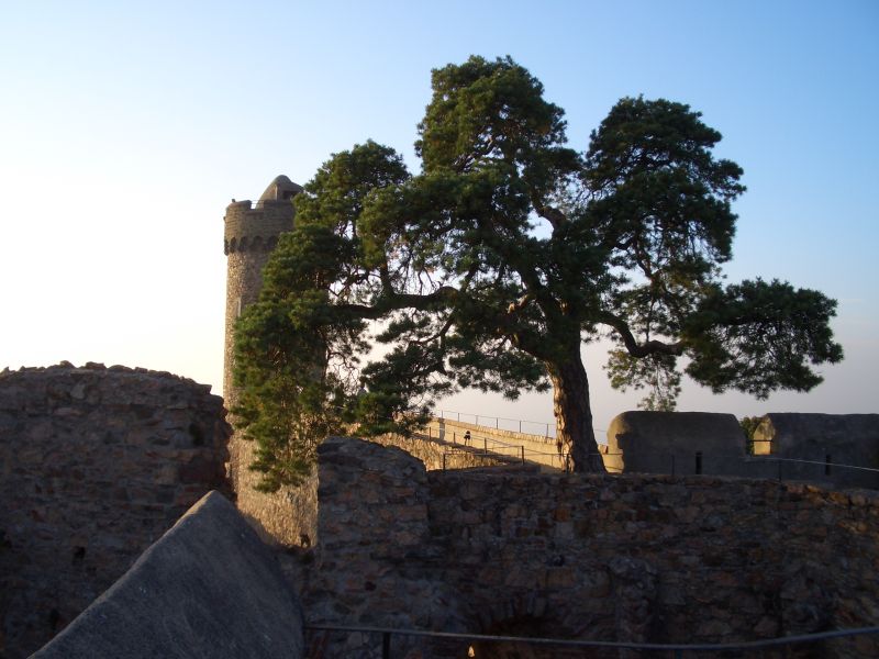 Schloss Auerbach