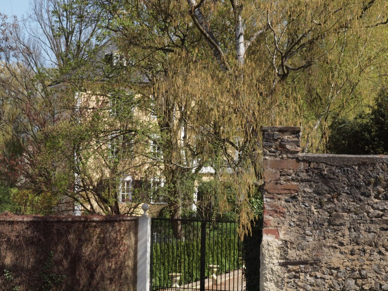 Schloss Dorheim
