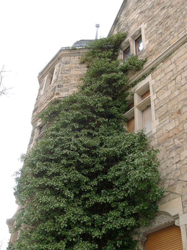 Schloss Garvensburg