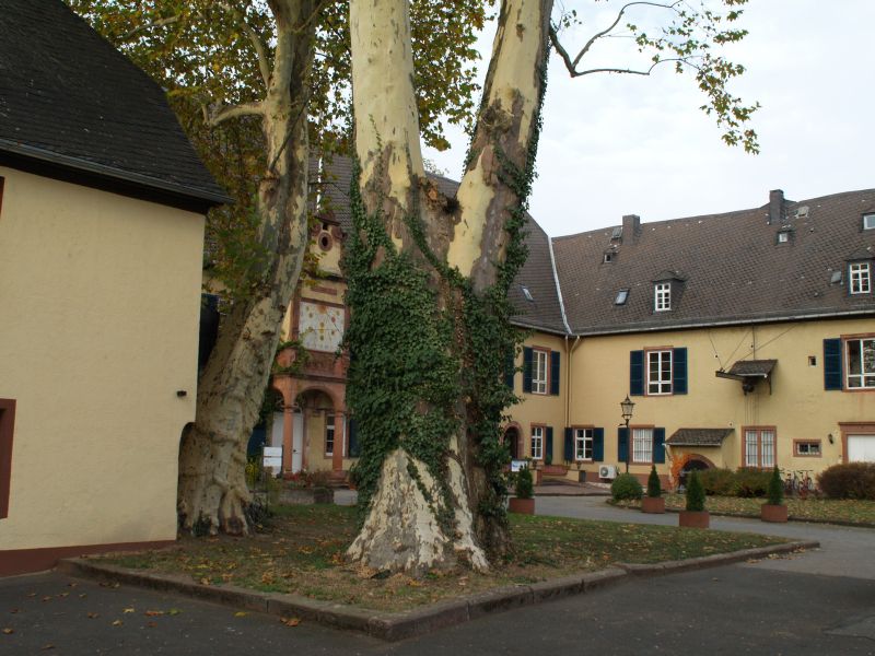 Schloss Kosakenberg