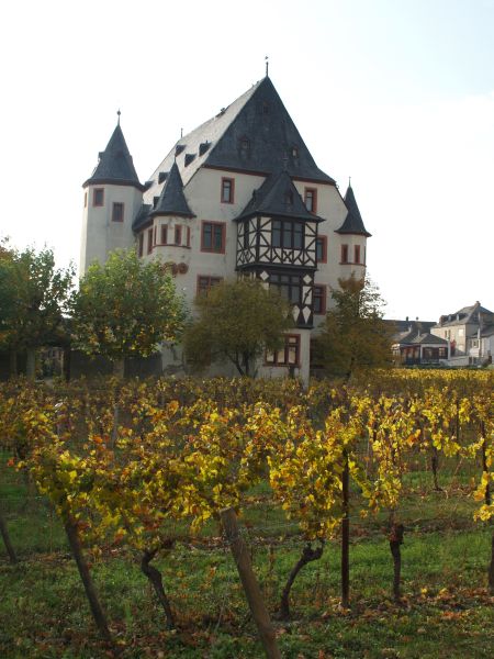 Schloss Schnborn