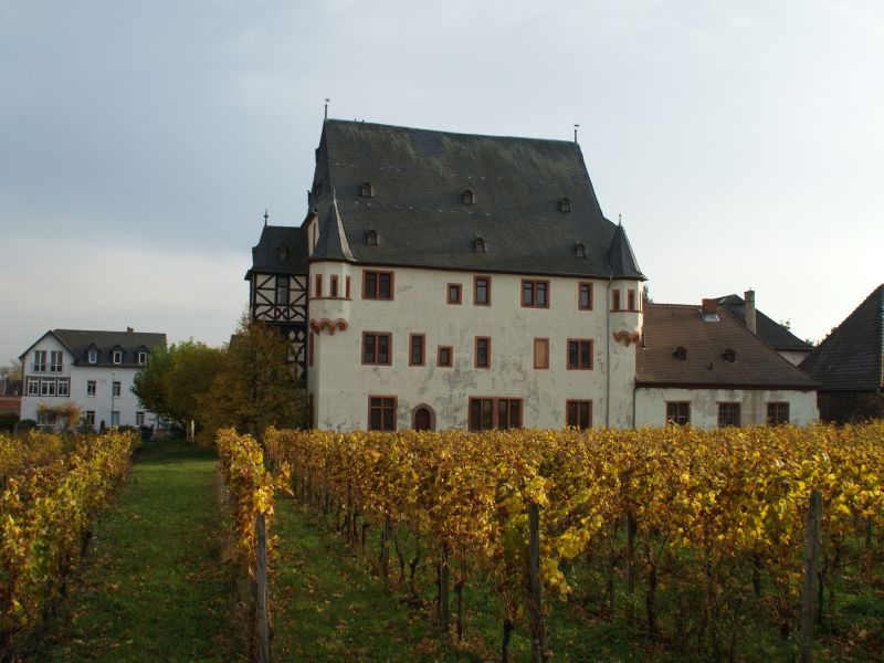 Schloss Schönborn